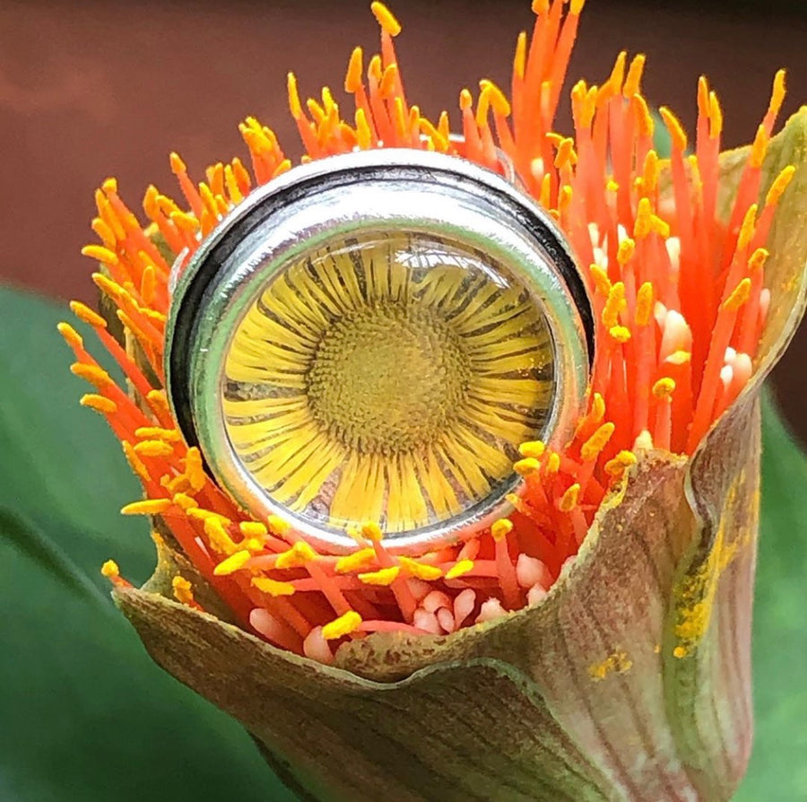 Fleabane Adjustable Traditional Circle Ring